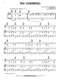 enya-dark-sky-island-ges-pno-_0006.JPG