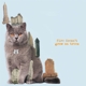 fire-doesn-t-grow-on-trees-brian-jonestown-massacr_0001.JPG
