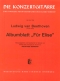 ludwig-van-beethoven-fuer-elise-albumblatt-gtr-_0001.JPG