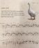 thomas-baete-the-natural-violist-vagb-_notenqr-cod_0003.jpg