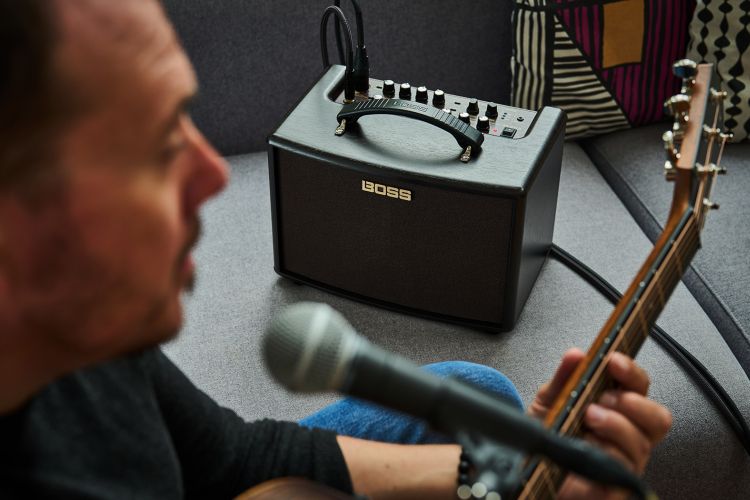 amplificateur-pour-guitare-boss-modele-ac-22lx-aco_0005.jpg