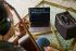 amplificateur-pour-guitare-boss-modele-ac-22lx-aco_0006.jpg