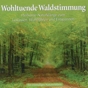 wohltuende-waldstimmung-naturgeraeusche-avita-200-_0001.JPG