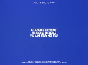 karma-ceremony-ver-stray-kids_-_interscope-cd_0002.JPG