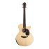 westerngitarre-furch-modell-blue-performance-gc-ew_0001.jpg