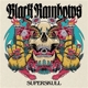 superskull-ltd-cyan-colored-vinyl-black-rainbows-h_0001.JPG