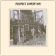 angel-delight-fairport-convention-proper-lp-analog_0001.JPG