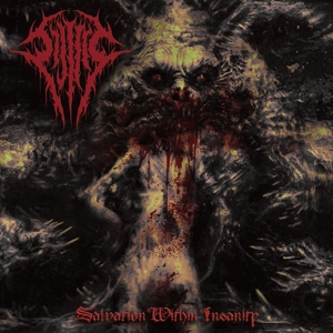 salvation-within-insanity-sijjeel-comatose-music-c_0001.JPG