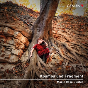 kosmos-und-fragment-marie-rosa-guenter-piano-genui_0001.JPG