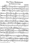 graham-waterhouse-3-musketiere-3vc-_pst_-_0006.JPG