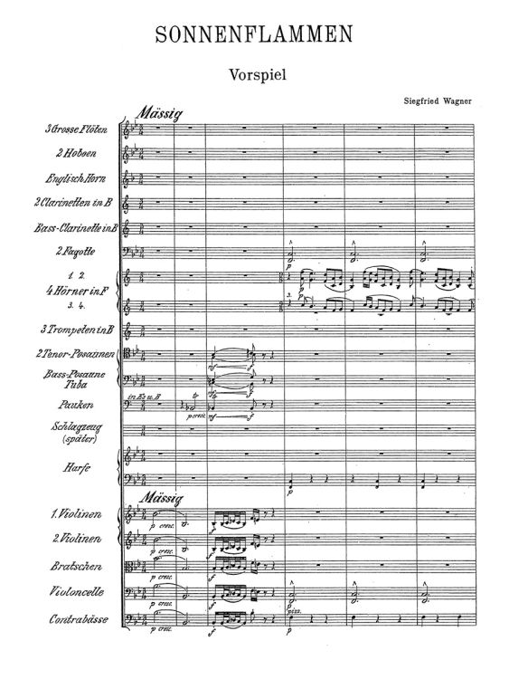 siegfried-wagner-sonnenflammen-ouvertuere-orch-_pa_0001.jpg