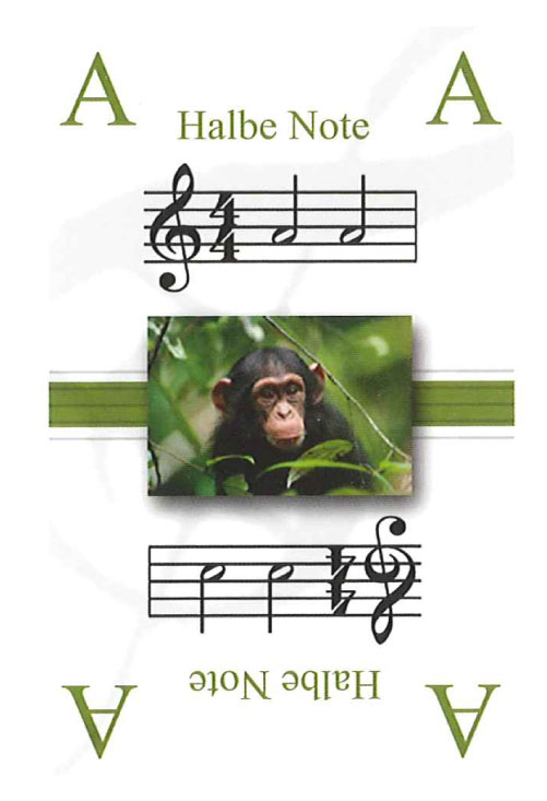 notetop-spielend-noten-lernen-art-of-music-instrum_0006.JPG