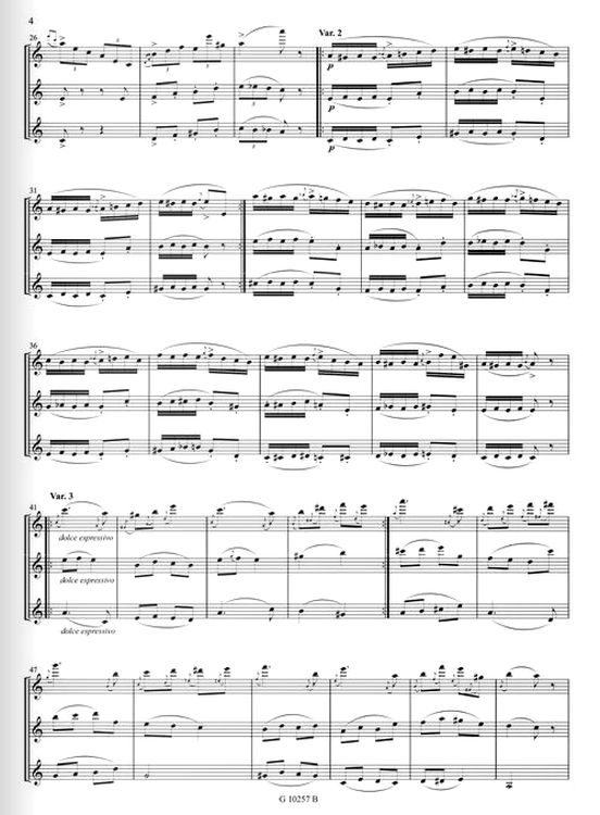nicolo-paganini-caprice-no-24-2fl-afl-_pst_-_0003.jpg