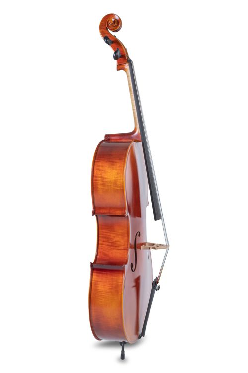 violoncelle-gewa-modele-ideale-4-4-leicht-geflammt_0005.jpg