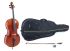 violoncelle-gewa-modele-ideale-4-4-leicht-geflammt_0001.jpg
