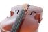 violoncelle-gewa-modele-ideale-4-4-leicht-geflammt_0006.jpg