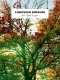 ludovico-einaudi-in-a-time-lapse-pno-_0001.JPG