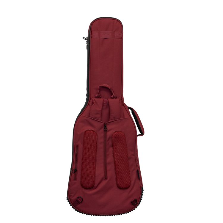 ritter-arosa-electric-guitar-spicy-red-zubehoer-zu_0003.jpg