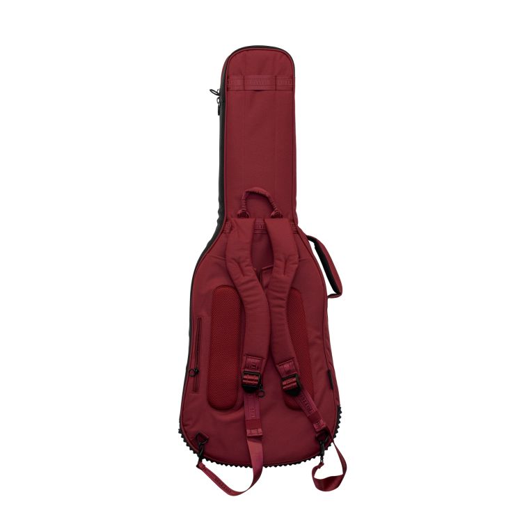 ritter-arosa-electric-guitar-spicy-red-zubehoer-zu_0004.jpg