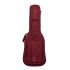 ritter-arosa-electric-guitar-spicy-red-zubehoer-zu_0001.jpg