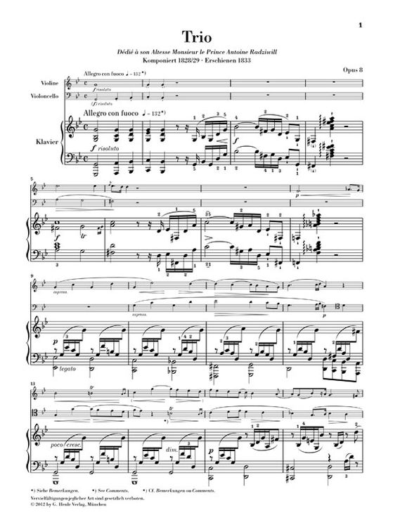 frederic-chopin-trio-op-8-g-minor-vl-vc-pno-_pst-u_0004.jpg