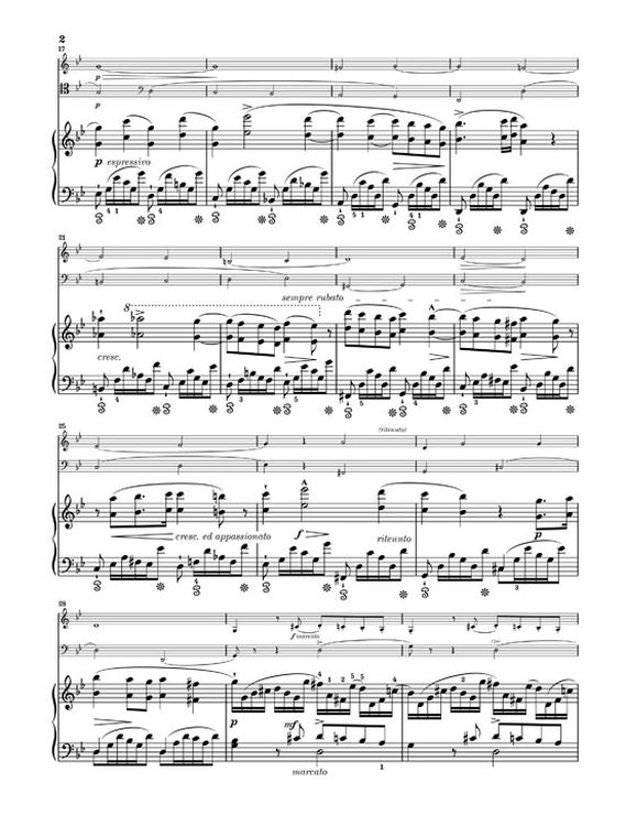 frederic-chopin-trio-op-8-g-minor-vl-vc-pno-_pst-u_0005.jpg