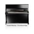 piano-droit-c-bechstein-modele-residence-6-style-v_0001.jpg