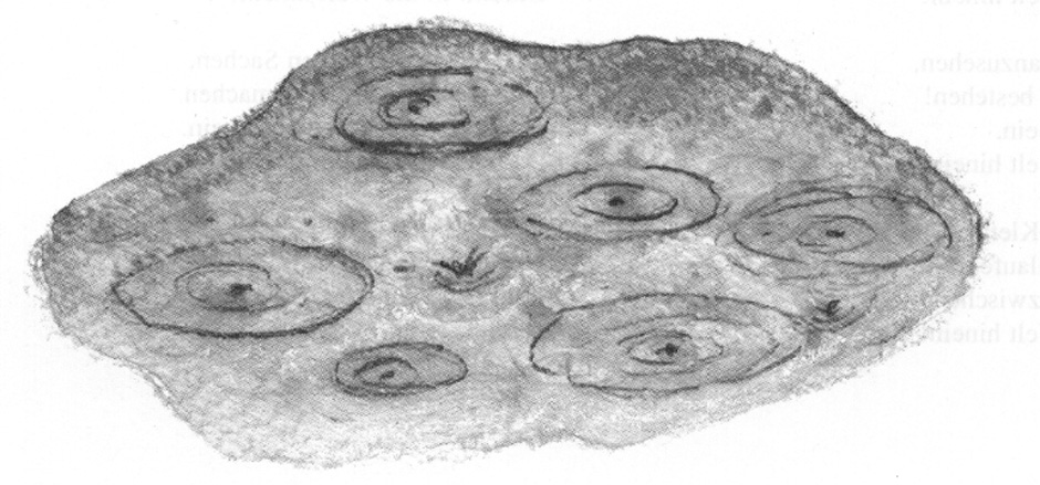 hans-juergen-bareiss-pulsschlag-libu-_0007.JPG