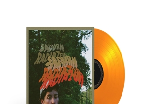 radiator-ltd-orange-crush-vinyl-sadurn-run-for-cov_0001.JPG