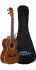 tenorukulele-lanikai-modell-lu-21-t-okoume-_0004.jpg