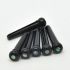 goeldo-acoustic-bridge-pins-schwarz-zubehoer-zu-we_0001.jpg