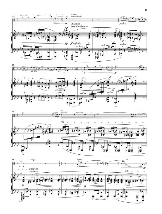 max-reger-sonate-op-107-va-pno_0005.jpg