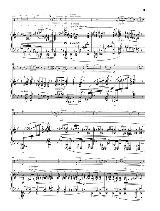 max-reger-sonate-op-107-va-pno-_0007.JPG