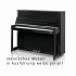 klavier-w-hoffmann-modell-professional-p-120-vario_0001.jpg