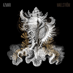 maelstroem-lp-azmari-sdban-ultra-lp-analog-_0001.JPG