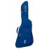 ritter-arosa-explorer-guitar-sapphire-blue-accesso_0001.jpg