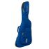 ritter-arosa-explorer-guitar-sapphire-blue-accesso_0002.jpg