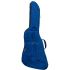 ritter-arosa-explorer-guitar-sapphire-blue-accesso_0003.jpg