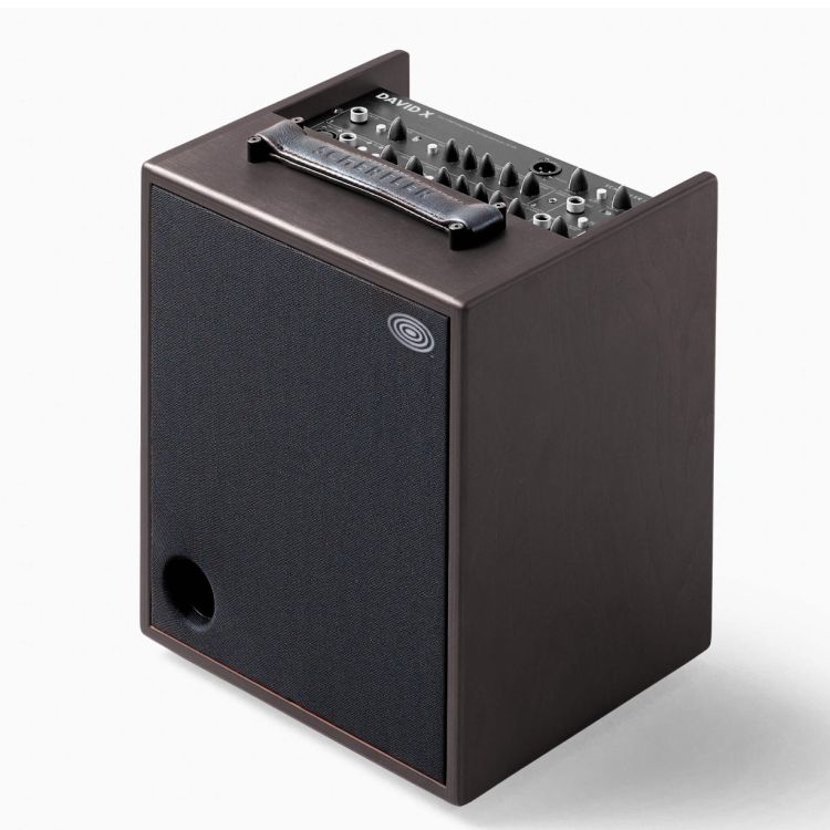 multi-instrument-amplifier-schertler-model-david-x_0001.jpg