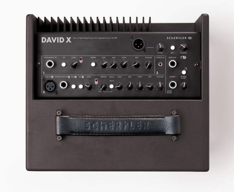 multi-instrument-amplifier-schertler-model-david-x_0002.jpg