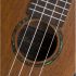 concertukulele-baton-rouge-modell-uv41-c-nmp-natur_0004.jpg