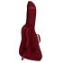 ritter-arosa-explorer-guitar-spicy-red-accessoires_0003.jpg