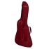 ritter-arosa-explorer-guitar-spicy-red-accessoires_0004.jpg