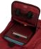 ritter-arosa-explorer-guitar-spicy-red-accessoires_0009.jpg
