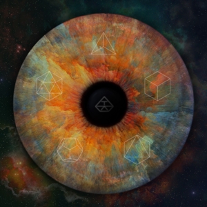 echoes-klose-tom-ad-hoc-consultants-lp-analog-_0001.JPG