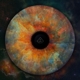echoes-klose-tom-ad-hoc-consultants-lp-analog-_0001.JPG