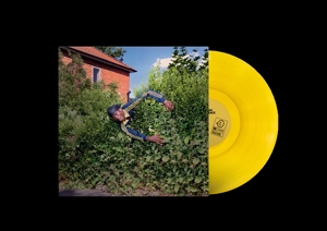 how-to-make-a-master-peace-yellow-translucent-vin-_0001.JPG