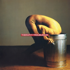 troublegum-therapy_-proper-lp-analog-_0001.JPG