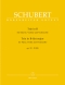 franz-schubert-trio-d-898-op-99-b-dur-vl-vc-pno-_p_0001.JPG