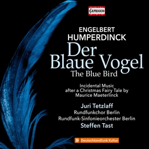 der-blaue-vogel-juri-tetzlaff-sprecher-rundfunkcho_0001.JPG